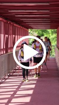 BIB:  <button type="button" onclick="openModal(27538866)" class="btn btn-primary btn-sm float-right" data-toggle="modal" data-target=".modal-high-quality">
                <i class="fa fa-download"></i> Download
                </button>